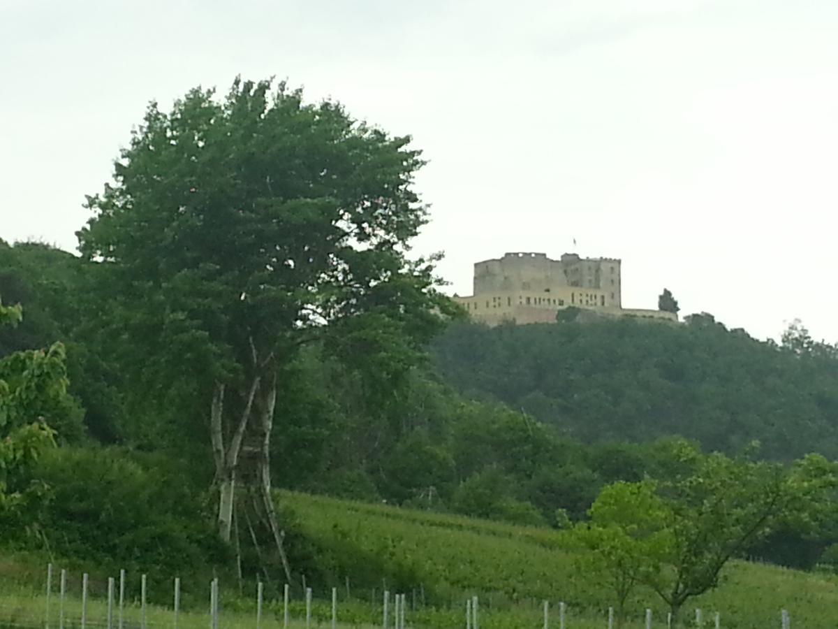 Gaestehaus Weingut Glas Neustadt an der Weinstraße 외부 사진